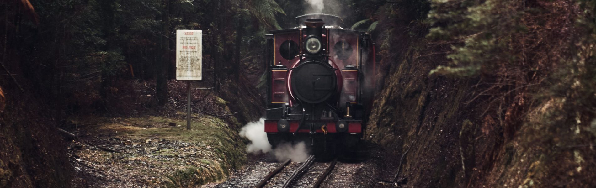 A steam train climbing the Rinadeena saddle with the assistance of the Rack and Pinion. A view of the rack in between the rail line in front of the train, rainforest surrounds and steam pouring from the locomotive's chimney.