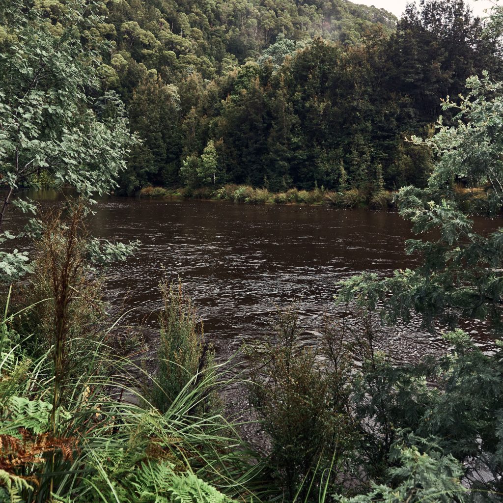 The King River following in between rainforest surrounds on either side. A hill behind the river in the background covered by more trees and forest.